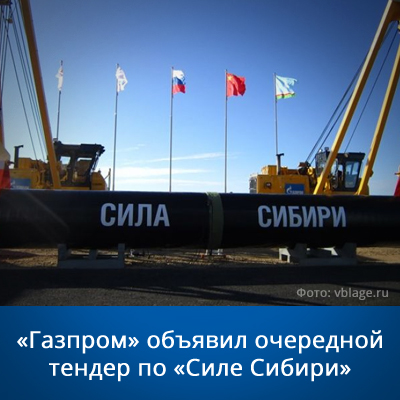 «Газпром» объявил очередной тендер по «Силе Сибири» - bicotender.ru