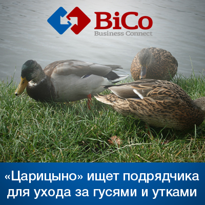 Музей-заповедник «Царицыно» объявил тендер на содержание водоплавающей птицы в 2016 году - bicotender.ru